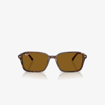 Ray-Ban RB2231 141833 58
