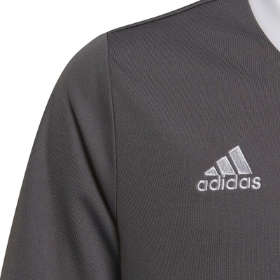 Bluzë sportive për kalamaj Adidas Entrada 22 Jsy Jr, poliester i ricikluar, teknologji AeroReady, gri