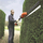 Gërshërë për gardhe Black&Decker GTC1843L20-QW, pa kabllo, 18V Li-Ion, portokalli