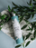 Shampo Bisou Aqua Lirica 250 ml