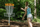 Disk golf Discmania Active Line Genius Fairway Driver, shpejtësi 7 glide 5, ESP Active, blu