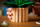 Set LEGO Botanicals 11504 Peace Lily, lule dekorative, për të rritur, shumëngjyrësh