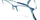 Syze Optike Ted Baker 4277 603