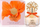 Parfum Vince Camuto Bella për gra, Eau de Parfum, 100 ml, spray