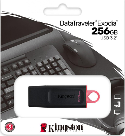 USB Kingston DataTraveler Exodia, 256 GB