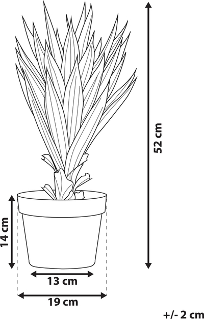 Bimë artificiale Yucca, 52cm, me vazo, jeshile