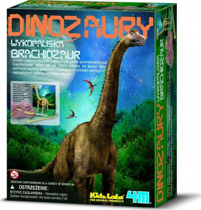 Set ekskavimi 4M Science Brachiosaurus, skelet 28 cm, lodër edukative
