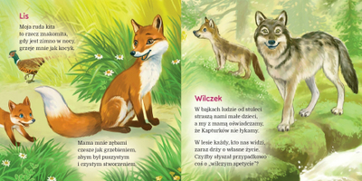 Libri In Europe The Bison Forest Skrzat, paperback, në polonisht