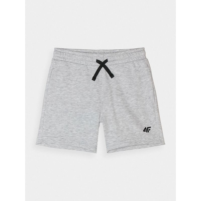 Спортски шорцеви 4F 4FJWSS24TSHOM272, Regular Fit, сиви