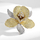 Brosh elegante Troli