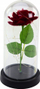 Dekor trëndafil i përjetshëm Lean Eternal Rose in Dome, LED, 21x11cm, i kuq