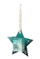 Shampo solide për flokë Foamie Star Aloe Vera, 20 g