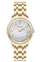 Ore Pierre Cardin CF.0611.SE.G