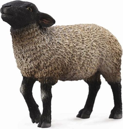 Figurinë e deleve Collecta Suffolk (004-88636)