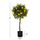 Bimë dekorative artificiale Lemon, 90cm, në vazo, me fruta të verdha