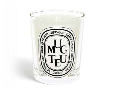 Qiri aromatik Diptyque Muguet 190 g