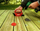 Mjet fiksimi i fshehtë MFT Hidden Deck 2.0, për dërrasa tarrace 110-155 mm, i kuq