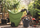 Shishe ujitëse Agri Black IKAG100-S411, 10L, e zezë
