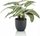 Bimë artificiale Dekor Calathea Zebrina, 45cm, vazo dekorative 17cm, e zezë