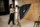 Softbox drejtkëndor Newell 80 x 120 cm, montim Bowens, i zi