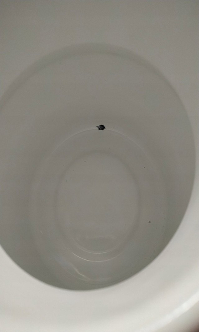 Gote qumështi Kelomat, 1L, me kapak, smalt, e bardhë