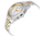 Orë dore Victorinox Swiss Army Alliance Chrono 241747