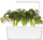 Fara bimore Click and Grow Red Frilly Mustard, pako me 3 copë, për Smart Garden, jeshile