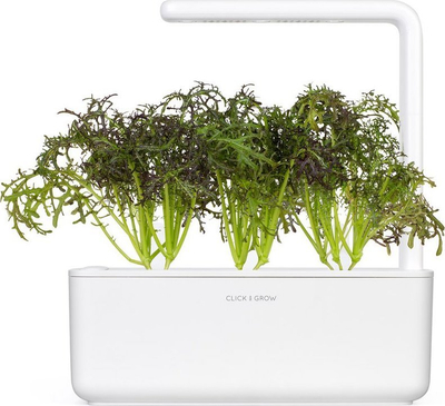 Fara bimore Click and Grow Red Frilly Mustard, pako me 3 copë, për Smart Garden, jeshile