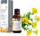 Масло за лице Nikel Evening Primrose, за многу сува кожа, хранливо, проѕирно