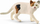 Figurë lodër Schleich American Shorthair Cat 13894, fermë, e bardhë