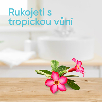 Brisk rroje Venus Tropical Gillette, 6 copë