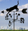 Shigjetë ere Wenko Weather Vane Cat, metal, 170cm, e zezë