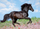 Puzzle Ravensburger Black Horse, 200 copa, për të rritur