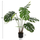 Bimë sintetike Monstera 100cm (HM7991)
