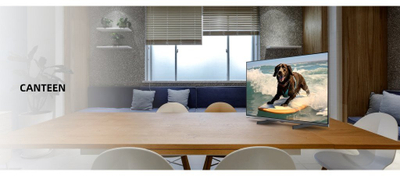 Televizor CHIQ L32M9PD, 32", Full HD, Smart Google TV, i zi
