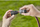 Bashkues i shpejtë Gardena 3 mm (1/2 ") - 15 mm (5/8") (18253-50)