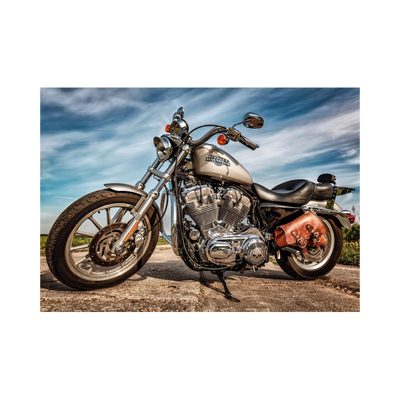 Puzzle Dino Harley Davidson, 500 pjesë, 10+ vjeç
