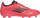 Këpucë futbolli Adidas F50 League IE0602, FG MG, të bardha