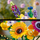 Букетот LEGO® Icons 10313 Meadow Flower Bouquet, цвеќе од ливада
