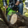 Sharrë me zinxhir Greenworks GD60CS40, 60V, shinë 40 cm, jeshile