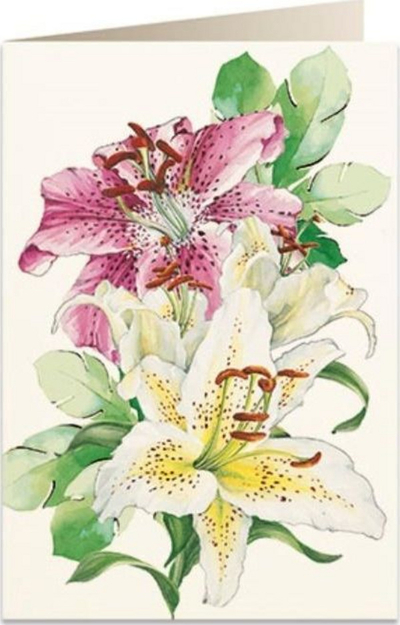 Kartë urimi Tassotti B6 5932 Lilies 2, letër 200 g m², me zarf