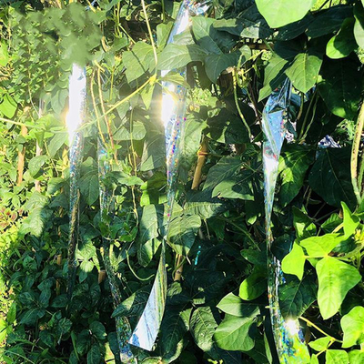 Shirit reflektues kundra zogjve OD17, 80 m, 4.5 cm, argjendt holografik