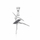Varëse Moiss Ballerina P0001148