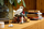 Set LEGO Harry Potter Philosophers Stone Collectors Edition 76466, 1571 pjesë, për të rritur