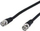 Kabllo video audio Wentronic AVK 146-1000, BNC në BNC, 10 m, e zezë