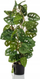 Bimë artificiale Emerald Monkey Monstera, 75 cm, me vazo, jeshile