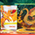 Set puzzle Wilga Dragons, 100 copa, me libër