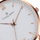 Orë dore Frederic Graff Rose Dent Blanche Silver Mesh FFAG-2520S