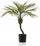 Bimë artificiale Emerald Chamaedorea Palm, 85cm, me vazo, në vazo të zezë