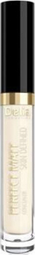 Коректор за кожа Delia Cosmetics Perfect Matt Skin Defined, 2.5ml, нијанса Ivory 02
